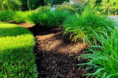 landscape yard